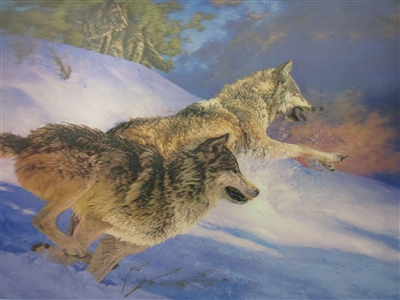 183 3d running wolves 2a2007