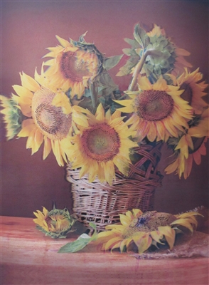 437  3d sunflowers 2a3524