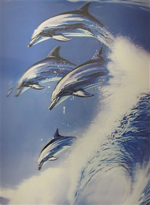 254 3d dolphins riding wave 2a2508