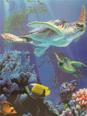 257 3d sea turtle 2a2525