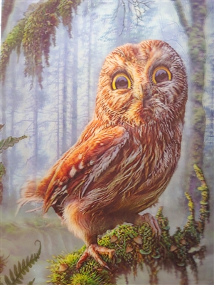 581 30x40cm Deep Owl