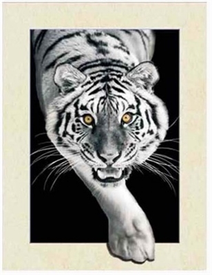 703 5D 30x40cm Deep tiger