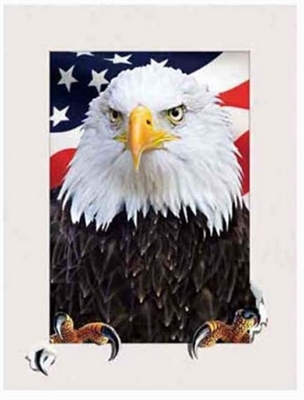 1042 5D 30x40cm American Eagle