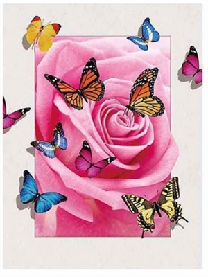 1094 5D 30x40cm Butterflies