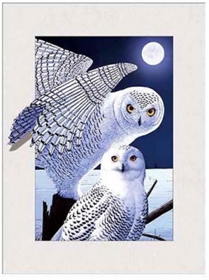 717 5D 30x40cm Deep Owl