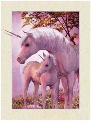 1040 5D 30x40cm Deep Unicorn