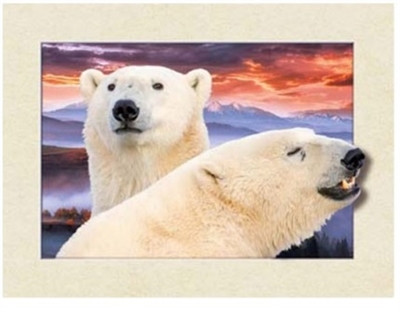 729 5D 30x40cm Deep Polar Bears