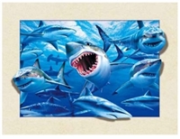 1098 5D 30x40cm Deep Shark