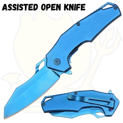 AO361 7112BL Assisted Open Knife