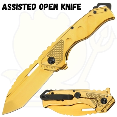 7395gd Assisted Open Knife
