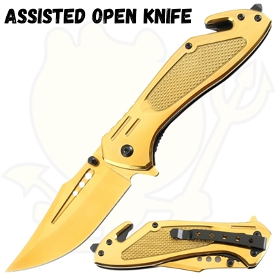 7396GD Assisted Open Knife