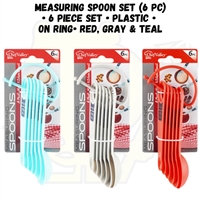 6pc Measuring Spoon Set