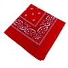 BN43-2  BANDANA-RED PAISLEY