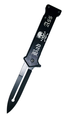 KS1024BA Spring Assisted Knife