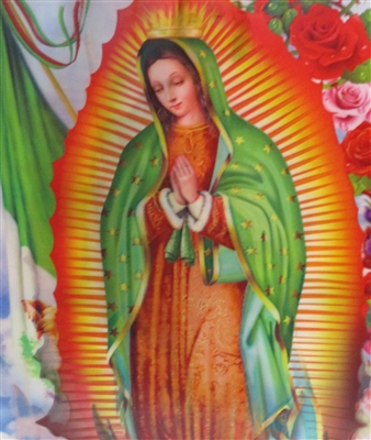 283 3D Lenticular Picture Mary