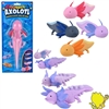 pa-grax9 9" Growing Axolotls