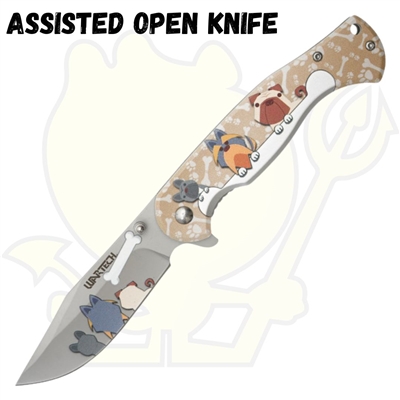 PWT467b 8" Assisted Open Knife