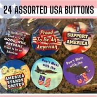 WM401 24 Assorted USA Buttons/Pins