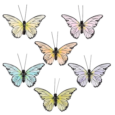 Butterfly Clip 6 Assorted