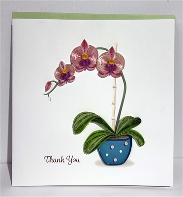 "Thank You Potted Orchid"