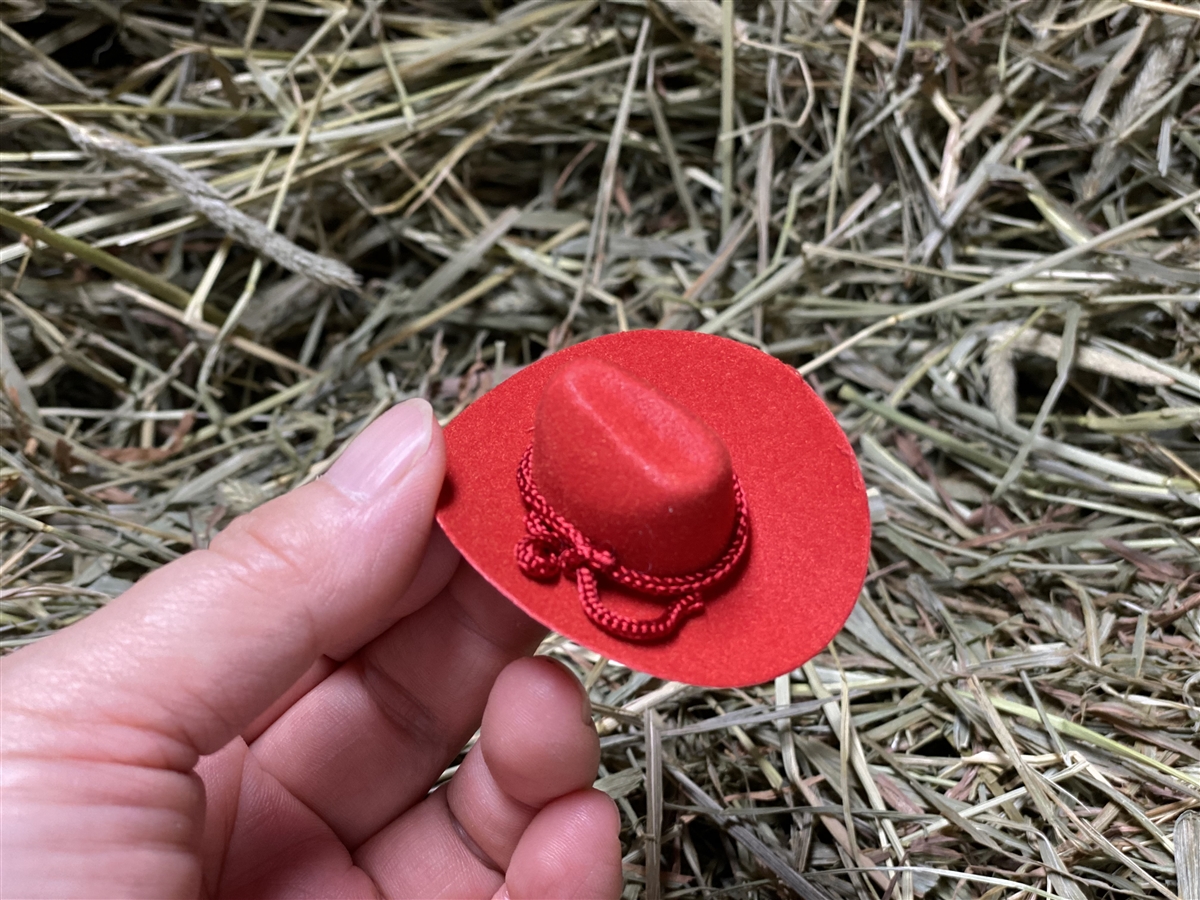 Mini Cowboy Hat Western Wedding Favors Decoration Red Brown Black White  2"3"4"