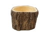 Oak Tree Finishing Tree Trunk Planter