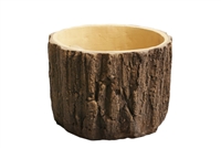 Walnut Tree Finishing Tree Trunk Planter