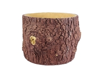 Yezo Spruce Tree Finishing Tree Trunk Planter