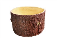 Yezo Spruce Tree Finishing Tree Trunk Planter