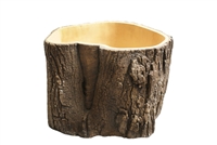 Willow Tree Finishing Tree Trunk Planter