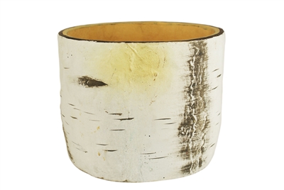 Birch Tree Finishing Tree Trunk Planter