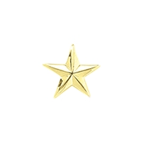 Blackinton 1 Star Pin