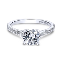 This 14k white gold diamond engagement ring with 00.25 carats of diamond shine.