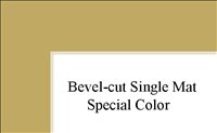 10" x 12" (6 1/2" x 8 1'2") Single Mat - Special Colors