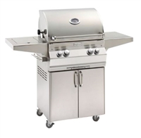 Fire Magic Aurora 24" x 18" Portable Outdoor Grill with Analog Thermometer and Rotisserie Kit