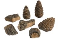 Peterson Valley Oak Wood Chips (4) & Pine Cone (3) Decor Pack
