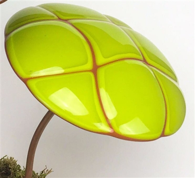 A fused glass mushroom cap on a copper stem. The stem curves slightly right, showing off the cap. The cap is a large geometric pattern of curved squares made from lime green glass, with the orange glass beneath showing through the gaps between them.