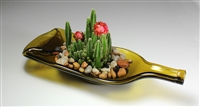 A tray made from an olive-colored glass bottle that has been shaped through heating in a kiln. The center of the tray holds a few cacti, two of which are blooming into red flowers. The cacti are surrounded by small rocks and pebbles.