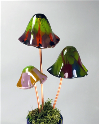 Three fused glass mushrooms displayed on copper stems in a pot filled with short greenery. The mushrooms have been draped into an organic shape with wide flared bottoms. They are made from several colors of glass and displayed at different heights.