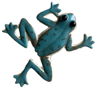 A fused glass frog on a white background. The frog is dark blue with large black eyes. Its edges are white with a few spots overlapping into the dark blue. There is a darker ring where any white meets blue, indicating a reaction in the glass.