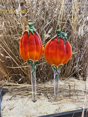 Two fused glass stakes with pumpkins on top displayed in a pot of sand in front of dried grass. The pumpkins are a gradient of red, orange, and yellow and have green stems on top and green vines below. The stakes are clear.