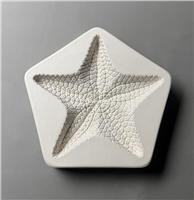 A pentagonal white ceramic mold for fusing glass on a gray background. A highly detailed starfish has been carved into it, with each of its arms aligned with a vertex of the pentagon. It is a simple star shape but very textured.