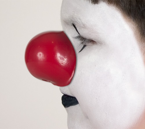 Professional Clown Noses, ProKNOWS Noses - Hokey Pokey Shop, Professional  Face and Body Paint Store