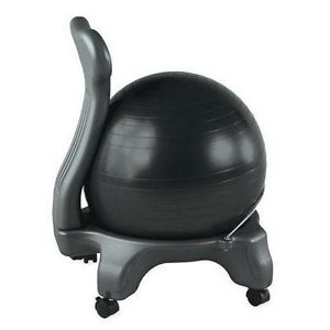 Got Special KIDS|Therapy Ball Chair