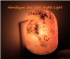 Himalayan Salt Night Light