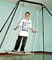 Got Special KIDS| Side-to-Side Baltic Birch Plywood Portable Swing Glider