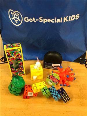 Got Special KIDS|Mini Classroom Fidget Bag