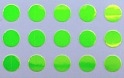 5/32" Round Dot/Chartruese UV/50 Pack