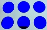 7/16" Round Dot/Dark Blue Chrome/48 Pack