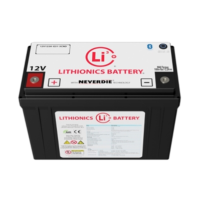 Lithionics 12 Volt 125 Amp Hours G31 Battery